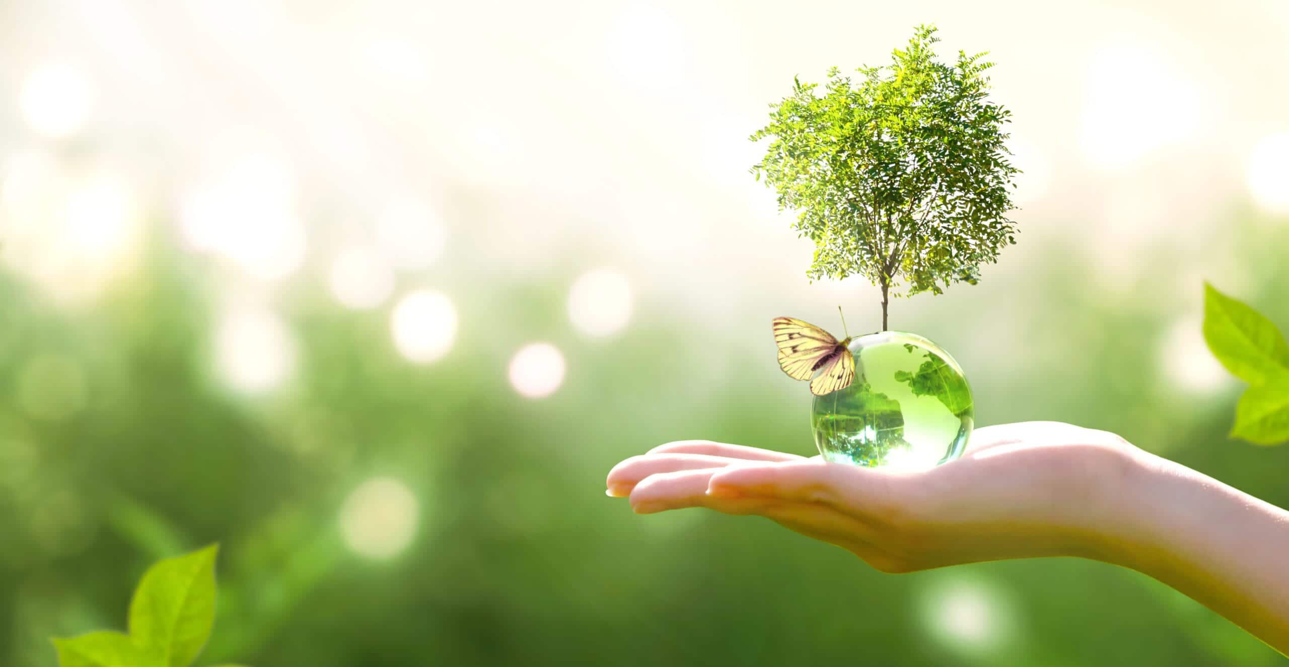 green tree in hand